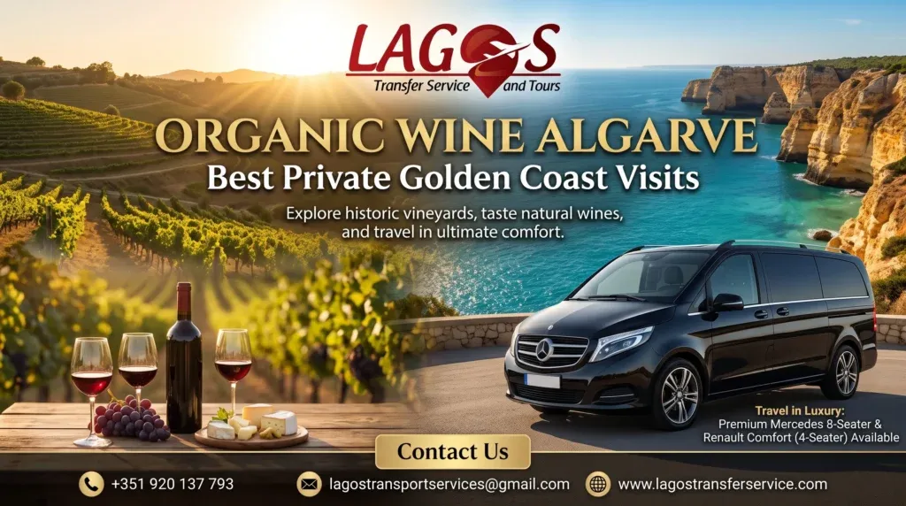 Organic Wine Algarve: Best Private Golden Coast Visits